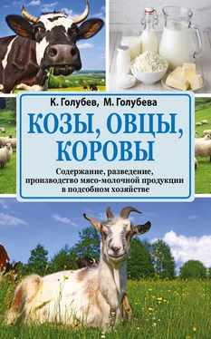Марина Голубева Козы, овцы, коровы. Содержание, разведение, производство мясо-молочной продукции в подсобном хозяйстве обложка книги