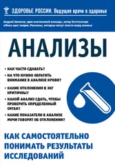 Андрей Звонков - Анализы. Как самостоятельно понимать результаты исследований