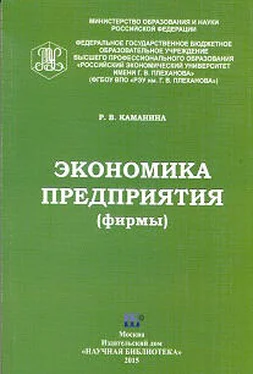 Раиса Каманина Экономика предприятия (фирмы) обложка книги