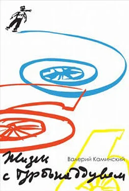 Валерий Каминский Жизнь с турбонаддувом обложка книги