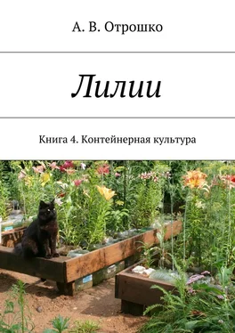 А. Отрошко Лилии. Книга 4. Контейнерная культура обложка книги