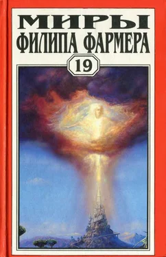 Филип Фармер Т. 19. Ночь света. Отче звёздный. Мир наизнанку обложка книги