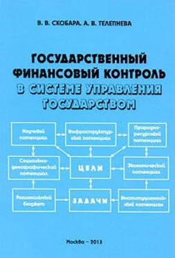 Вячеслав Скобара Государственный финансовый контроль в системе управления государством обложка книги