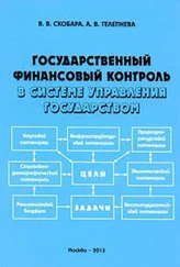 Вячеслав Скобара - Государственный финансовый контроль в системе управления государством