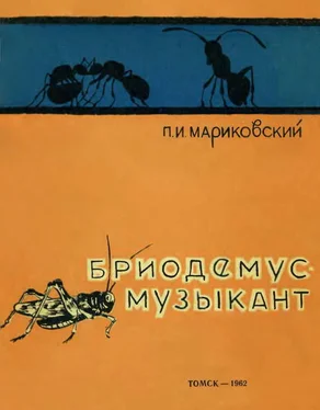 Павел Мариковский Бриодемус-музыкант обложка книги