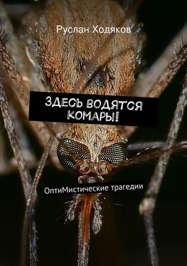 Руслан Ходяков Здесь водятся комары! обложка книги