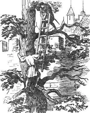 Да ты не на удачную мысль мне показываешь ответил школяр а на дуб И - фото 11