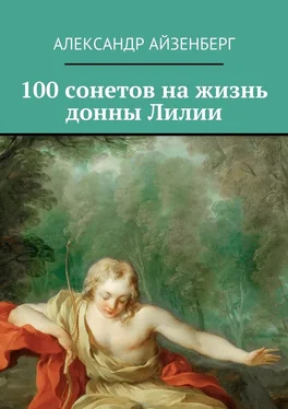 Александр Айзенберг 100 сонетов на жизнь донны Лилии обложка книги