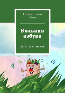 Владимир Ильичев (Сквер) Вольная азбука обложка книги