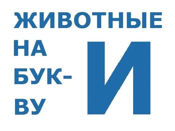 Ибекс Ибекс или Козерог Обладатель крепких ног А огромные рога Могут - фото 1