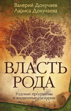 Лариса Докучаева Власть Рода. Родовые программы и жизненные сценарии обложка книги