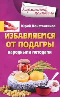 Юрий Константинов Избавляемся от подагры народными методами обложка книги