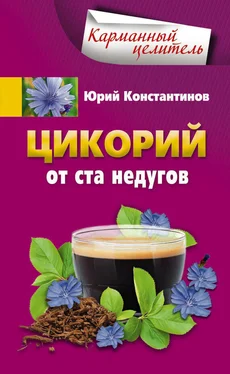 Юрий Константинов Цикорий от ста недугов обложка книги