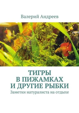 Валерий Андреев Тигры в пижамках и другие рыбки