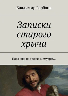 Владимир Горбань Записки старого хрыча обложка книги