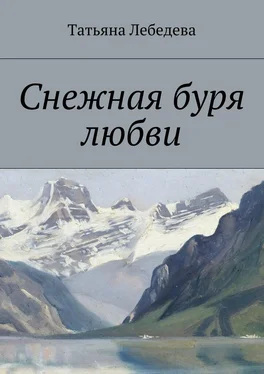 Татьяна Лебедева Снежная буря любви обложка книги