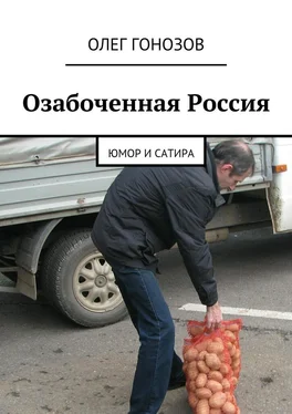 Олег Гонозов Озабоченная Россия обложка книги