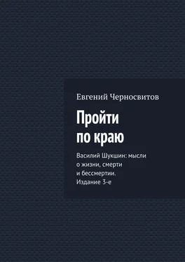 Евгений Черносвитов Пройти по краю обложка книги