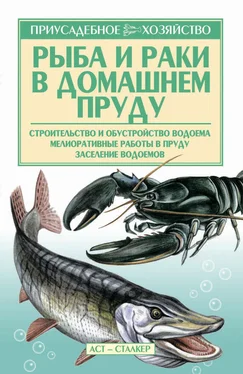 Александр Снегов Рыба и раки. Технология разведения обложка книги