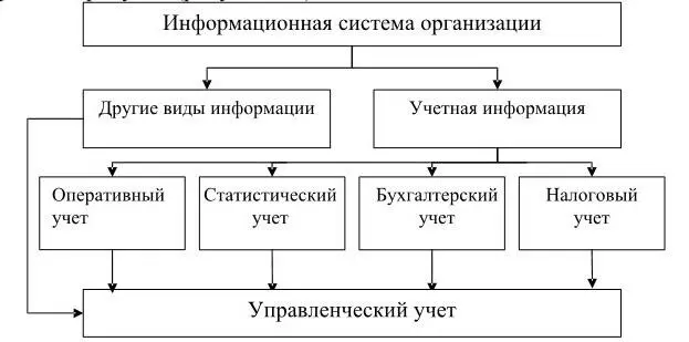 Рисунок 13 Управленческий учёт в информационной системе организации Разные - фото 3
