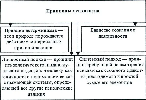 Рис 14 Принципы психологии Рис 15 Связь психологии с другими науками - фото 4