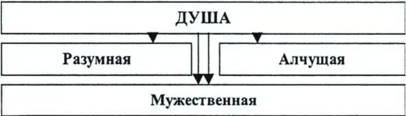 Рис 32 Представления пифагорейцев При этом считалось что душа человека и - фото 20