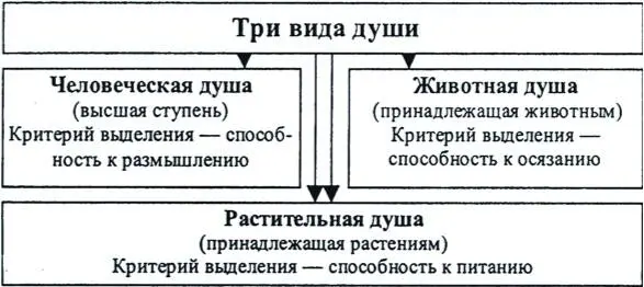 Рис 33 Классификация Аристотеля Рис 34 Положения мыслителей Древней - фото 22
