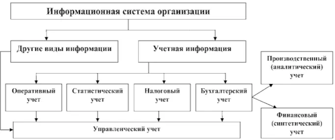 Рис 11Учетная информация в информационном поле организации Как видно из рис - фото 1