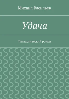 Михаил Васильев Удача обложка книги