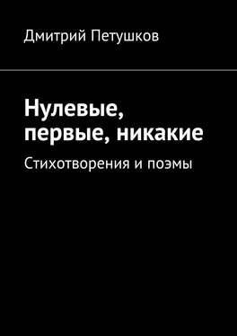 Дмитрий Петушков Нулевые, первые, никакие обложка книги