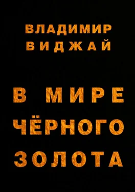 Владимир Виджай В мире чёрного золота обложка книги
