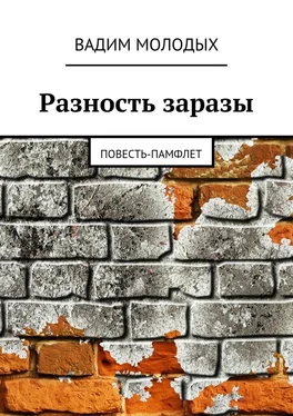 Вадим Молодых Разность заразы обложка книги