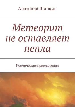 Анатолий Шинкин Метеорит не оставляет пепла обложка книги