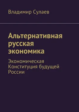 Владимир Сулаев Альтернативная русская экономика обложка книги