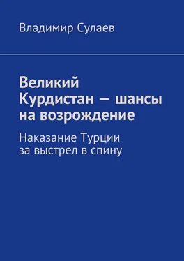 Владимир Сулаев Великий Курдистан – шансы на возрождение обложка книги