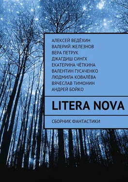 Вера Петрук Litera Nova. Сборник фантастики обложка книги