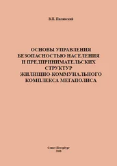 Валерий Пилявский - Основы управления безопасностью населения и предпринимательских структур жилищно-коммунального комплекса мегаполиса