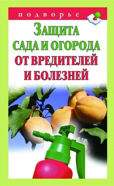 Александр Снегов Защита сада и огорода от вредителей и болезней обложка книги