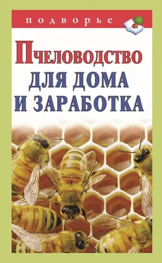 Александр Снегов Пчеловодство для дома и заработка обложка книги