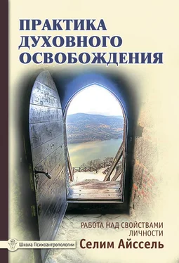 Селим Айссель Практика духовного освобождения. Работа над свойствами личности обложка книги