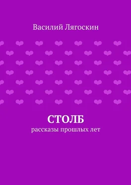 Василий Лягоскин Столб обложка книги