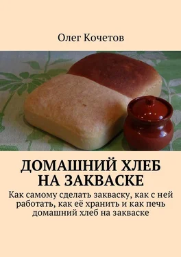 Олег Кочетов Домашний хлеб на закваске обложка книги