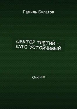 Рамиль Булатов Сектор третий – курс устойчивый обложка книги