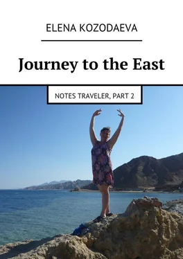 Elena Kozodaeva Journey to the East обложка книги