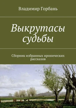 Владимир Горбань Выкрутасы судьбы обложка книги