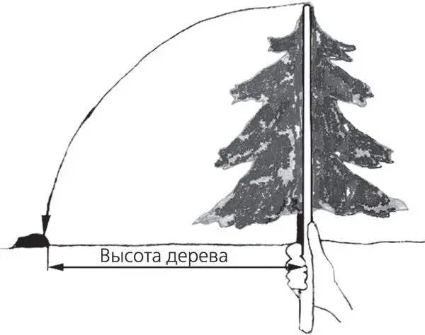 Рис 110 Определение высоты объекта с помощью палки Рис 111 Определение - фото 19