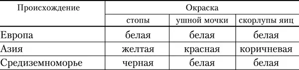 Яичные породы Куры яичных пород очень подвижные имеют небольшую массу легкий - фото 9