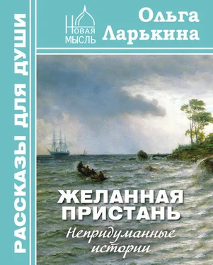 Ольга Ларькина Желанная пристань обложка книги