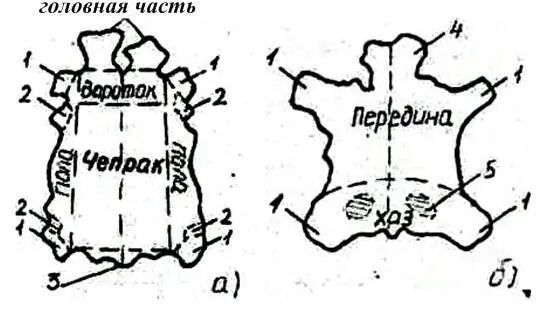 Рис 2 Шкуры а крупного рогатого скота б конская 1 лапы 2 пашины 3 - фото 7