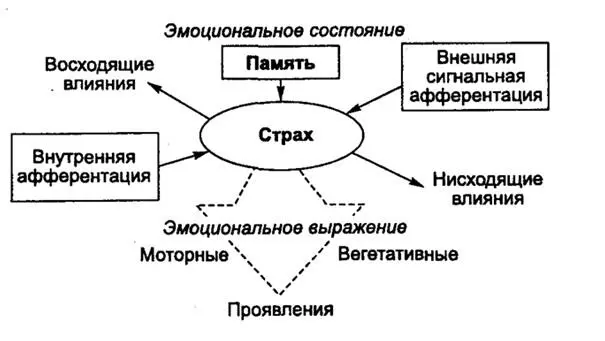 Рис 2 Схема возникновения эмоционального состояния АВ Вальдман В - фото 2